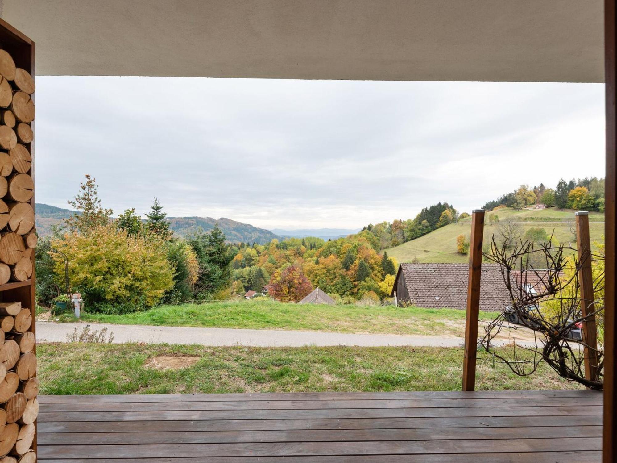 Apartment On The Edge Of The Forest Kleines Wiesental Exterior foto